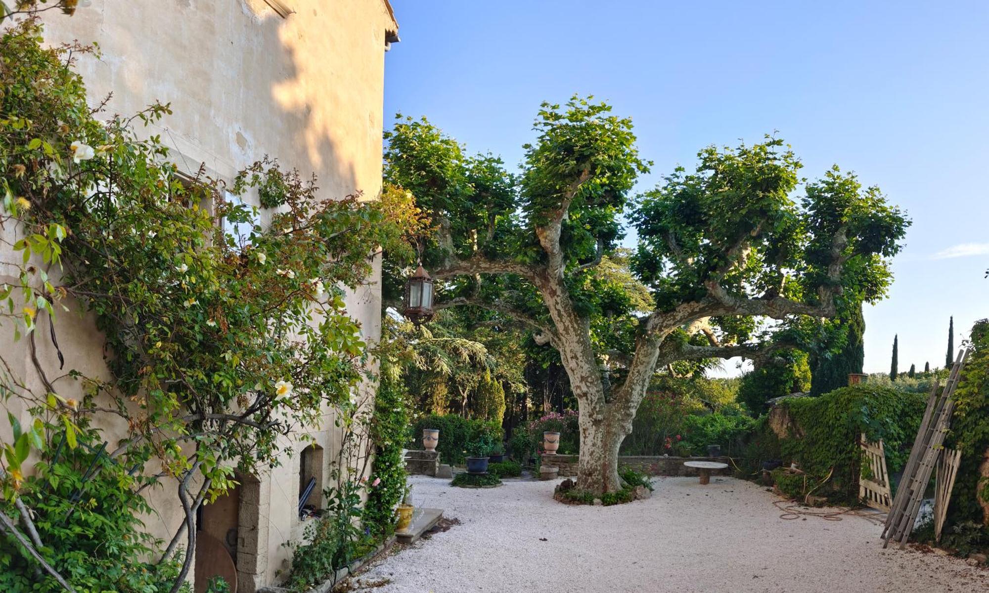 Rue Du Chateau A Cabrieres D'Avignon Bed and Breakfast Exteriör bild